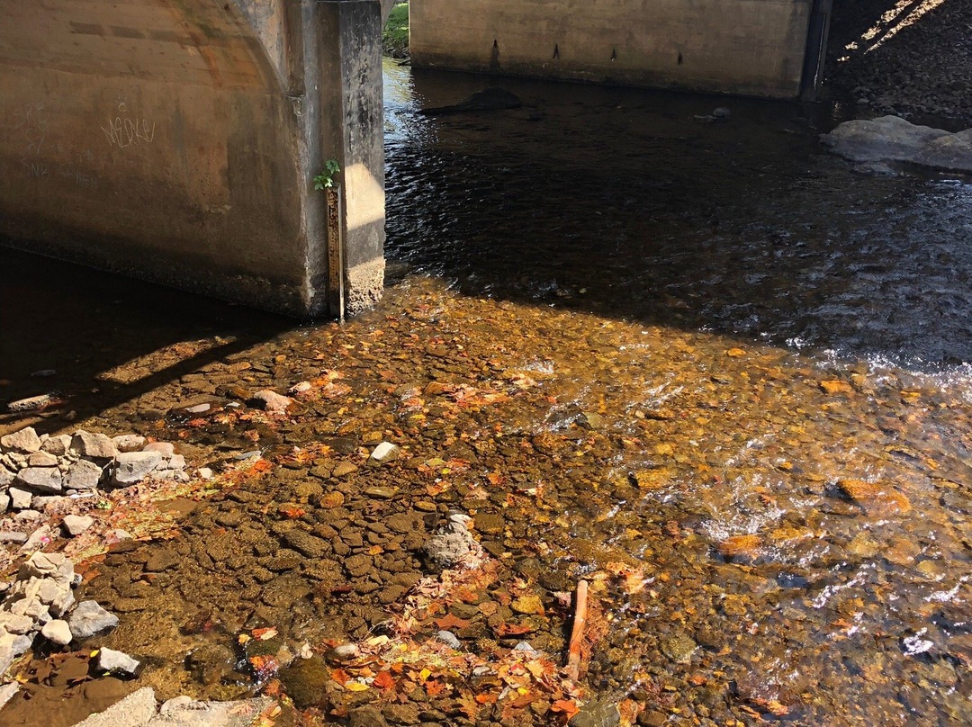 Chattahoochee River-海伦必去景点
