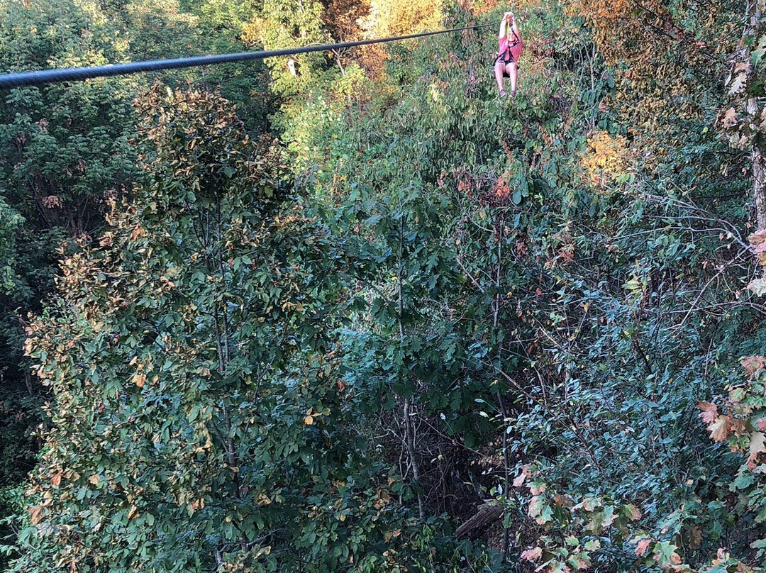 Screaming Eagle at Lake Guntersville-Guntersville必去景点
