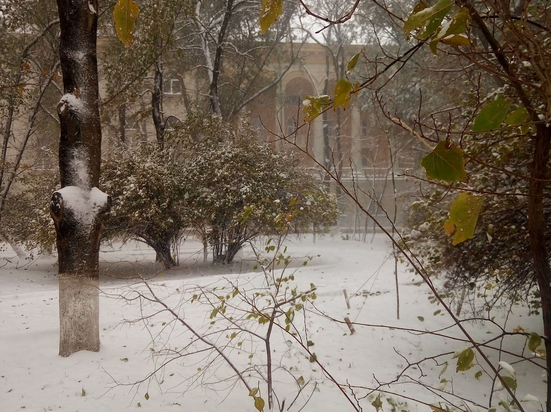 Ostrovsky Park景点图片