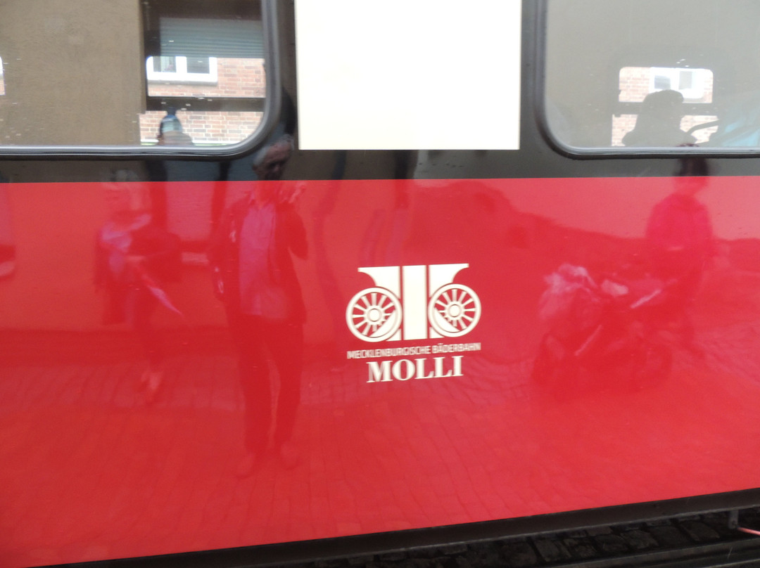 The Mollie Steam Train景点图片