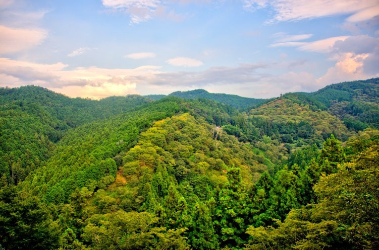 null-吉野町