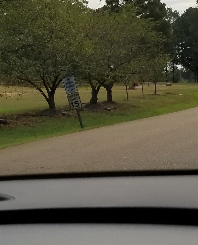 Olive Branch City Park-奥利夫布兰奇必去景点