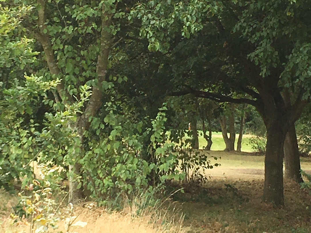 Weald of Kent Golf Club景点图片