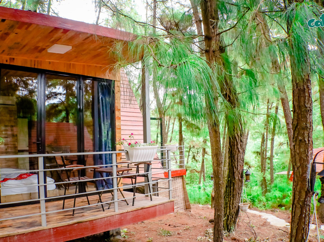Cat Ba Eco Lodge主图