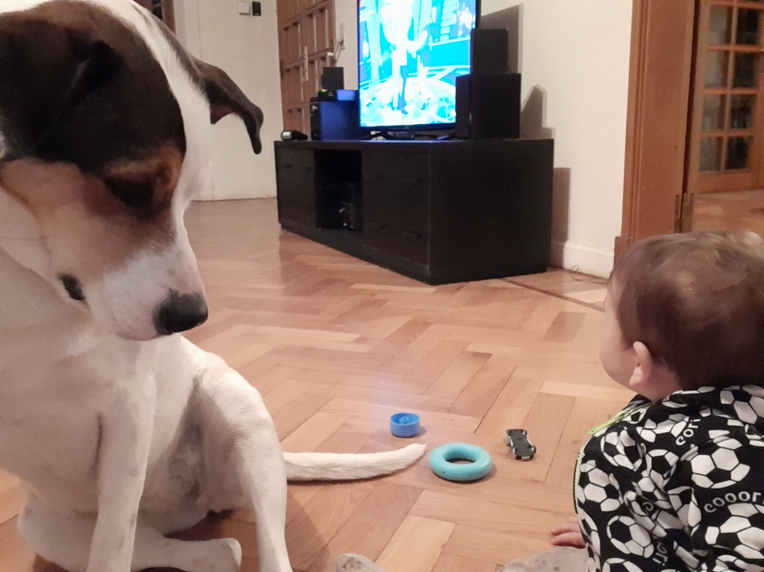 Tanino Guest House主图