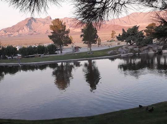 朗斯特里特赌场汽车旅馆主图