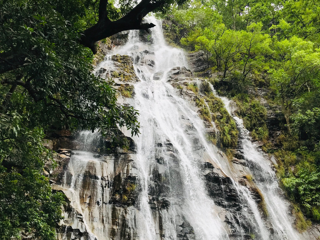 Bee Falls景点图片
