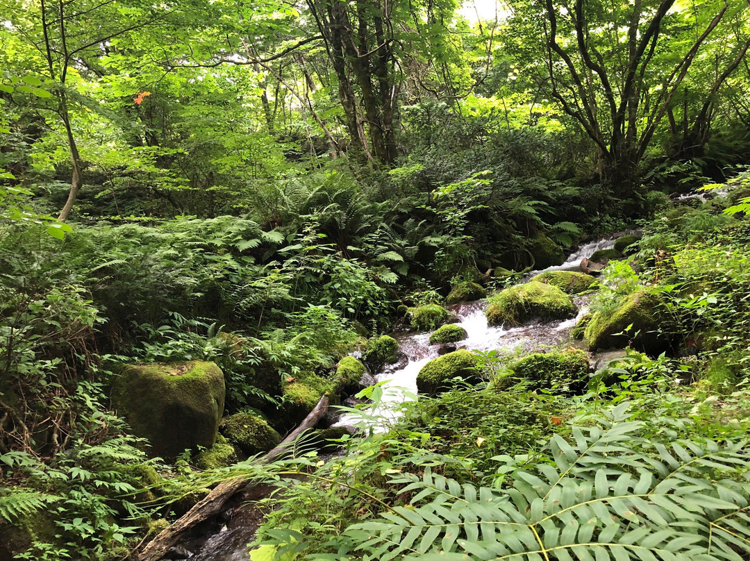 Kitanizawa Stream景点图片