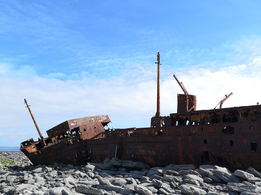Plassey Wreck景点图片
