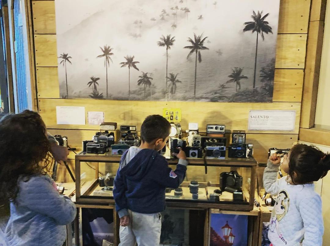 Fotografia Palma y Niebla-萨伦托必去景点