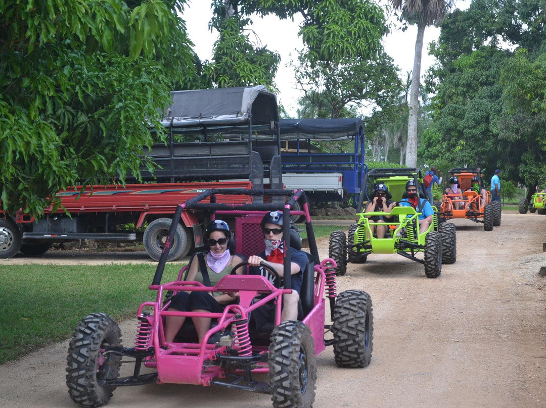 Shelting Tours Operador-蓬塔卡纳必去景点