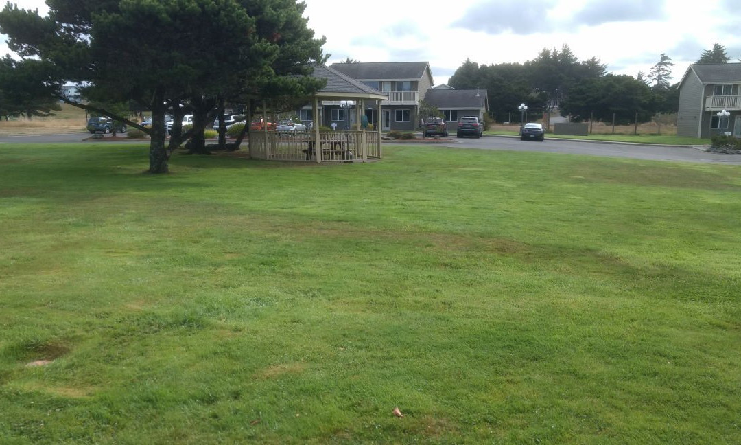 人面石贝斯特韦斯特酒店主图