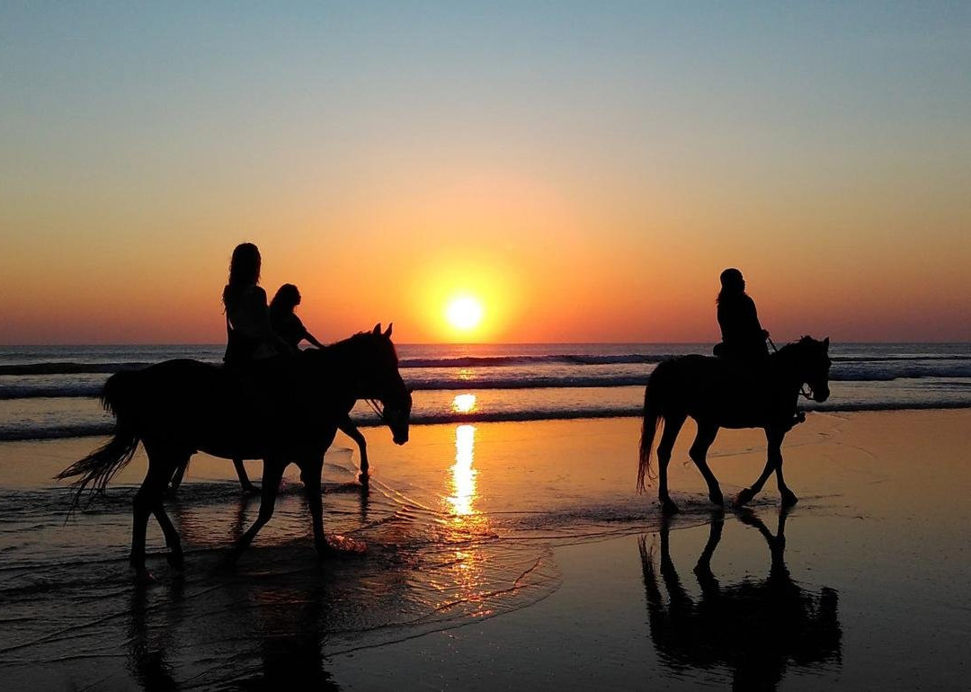 All About Santorini-费拉必去景点