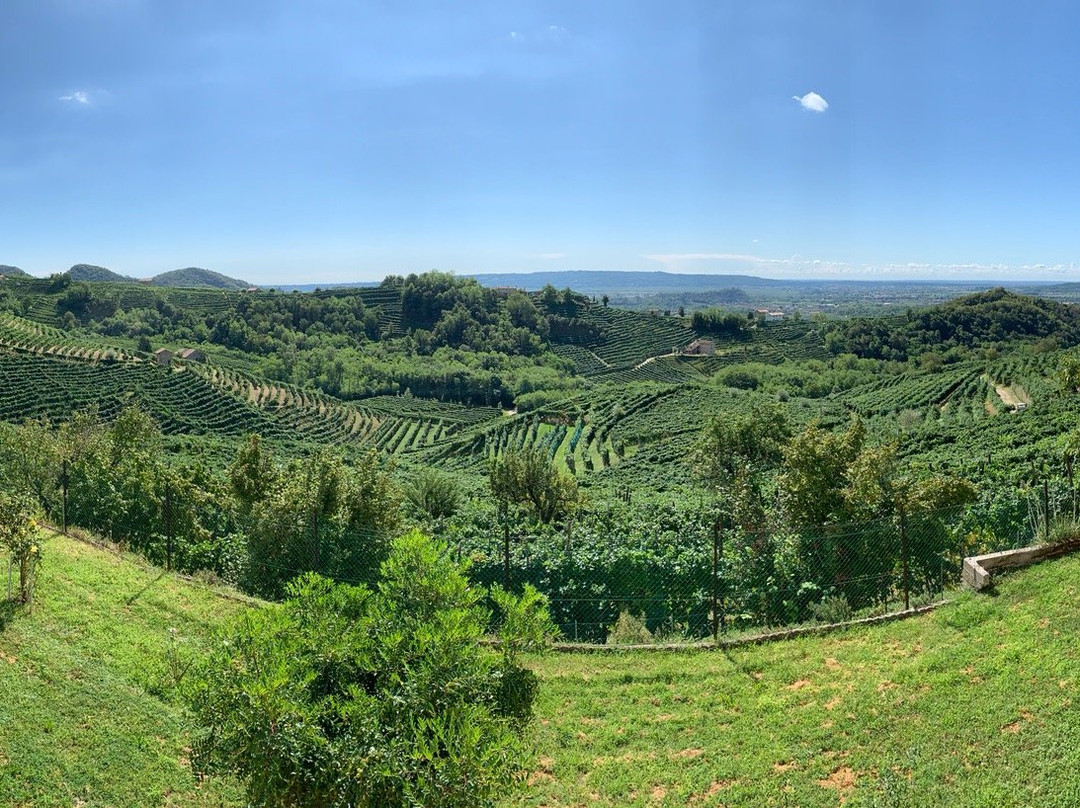 Your Cycling Italia Bicycle Tours景点图片