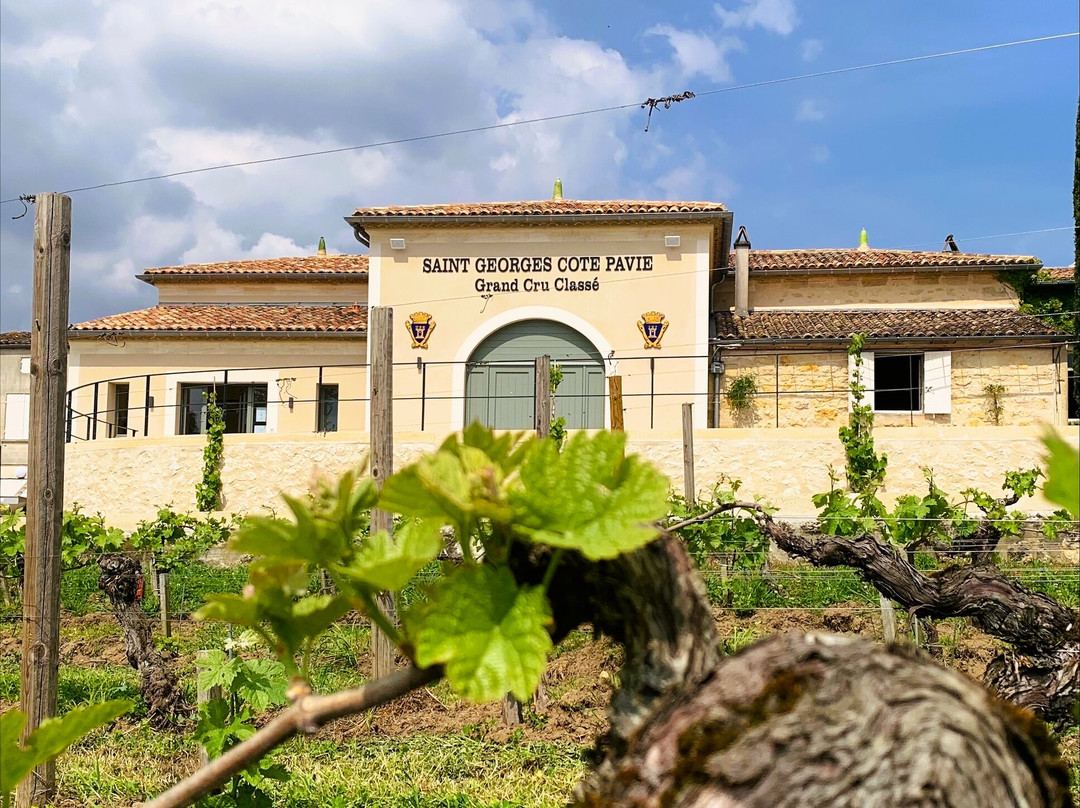 Château Saint-Georges Côte-Pavie景点图片