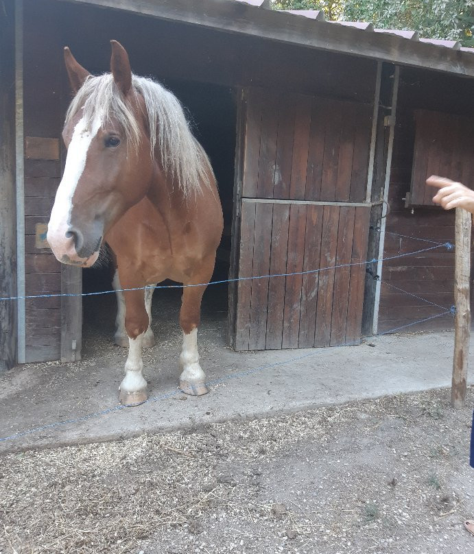 Les Ecuries du Mas主图