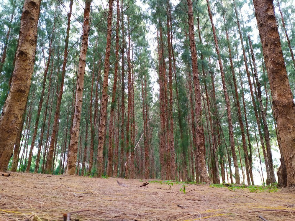Pantai Kundur-哥打巴鲁必去景点