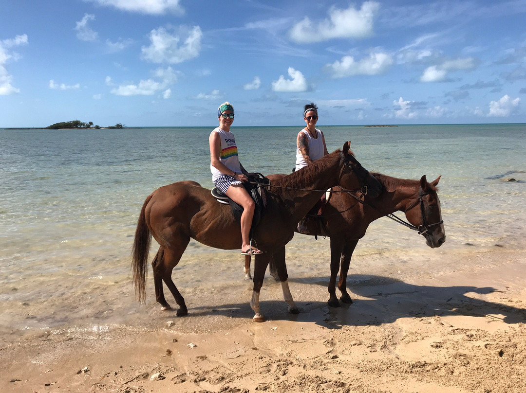 Happy Trails Stables-Coral Harbour必去景点