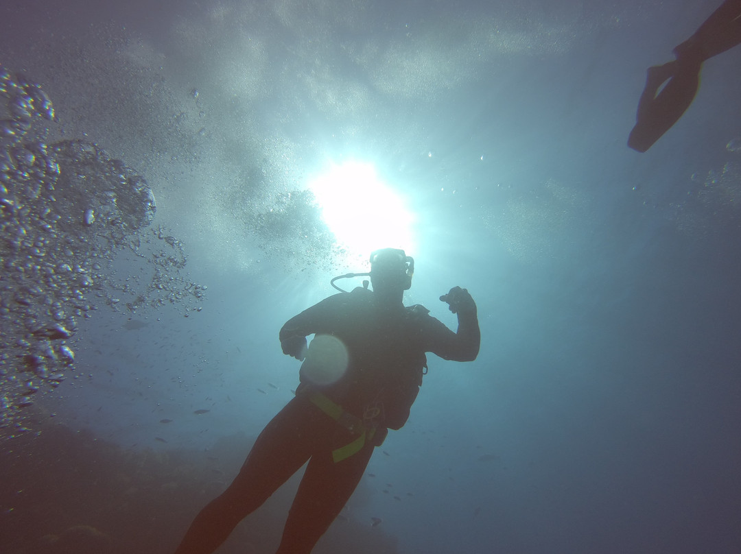 Quicksilver Dive景点图片