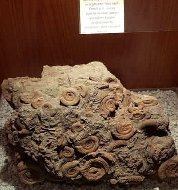 GeoLab Museo Laboratorio di Scienze della Terra-San Gemini必去景点