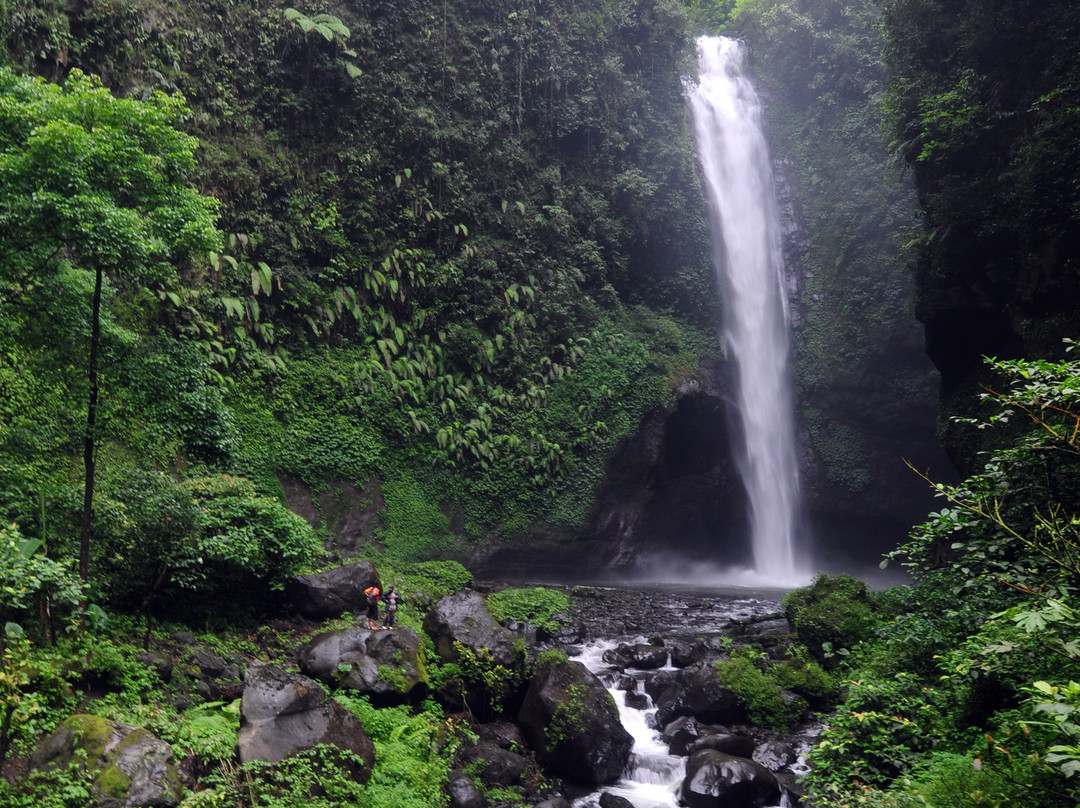Coban Jodo Waterfall景点图片