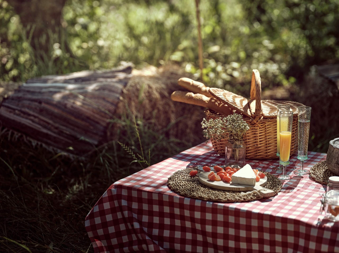 Picnic in Leeda's Farm景点图片