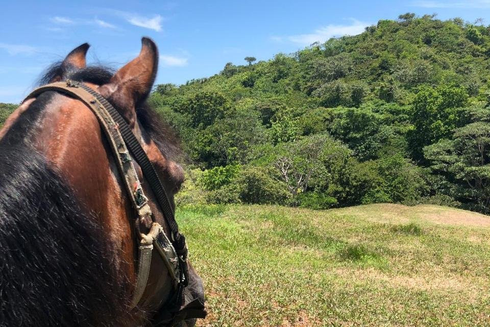 Tropical Organic Farm-Nuevo Chagres必去景点
