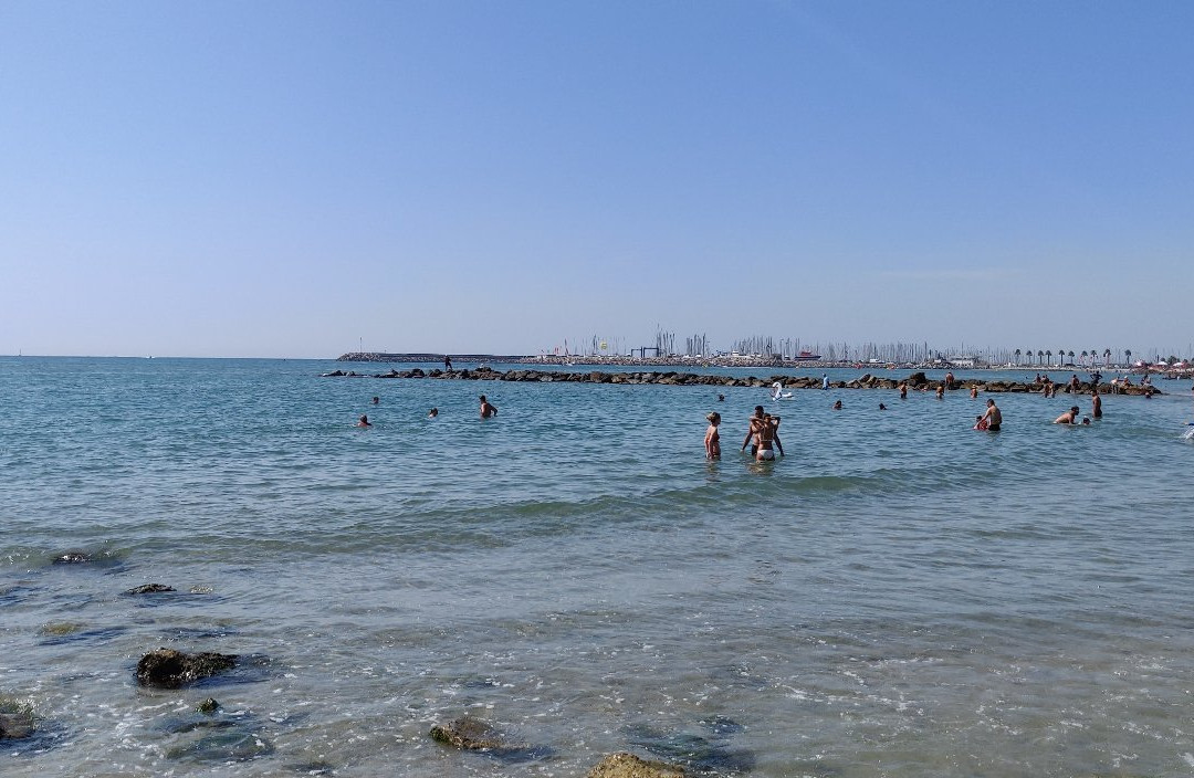 Port de Palavas-les-Flots-帕拉瓦莱弗洛必去景点