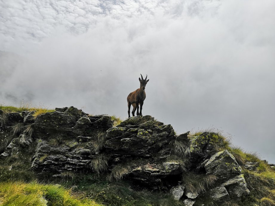 Monte Legnone-Pagnona必去景点