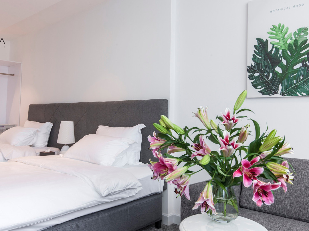 Anneta Star Hill主图