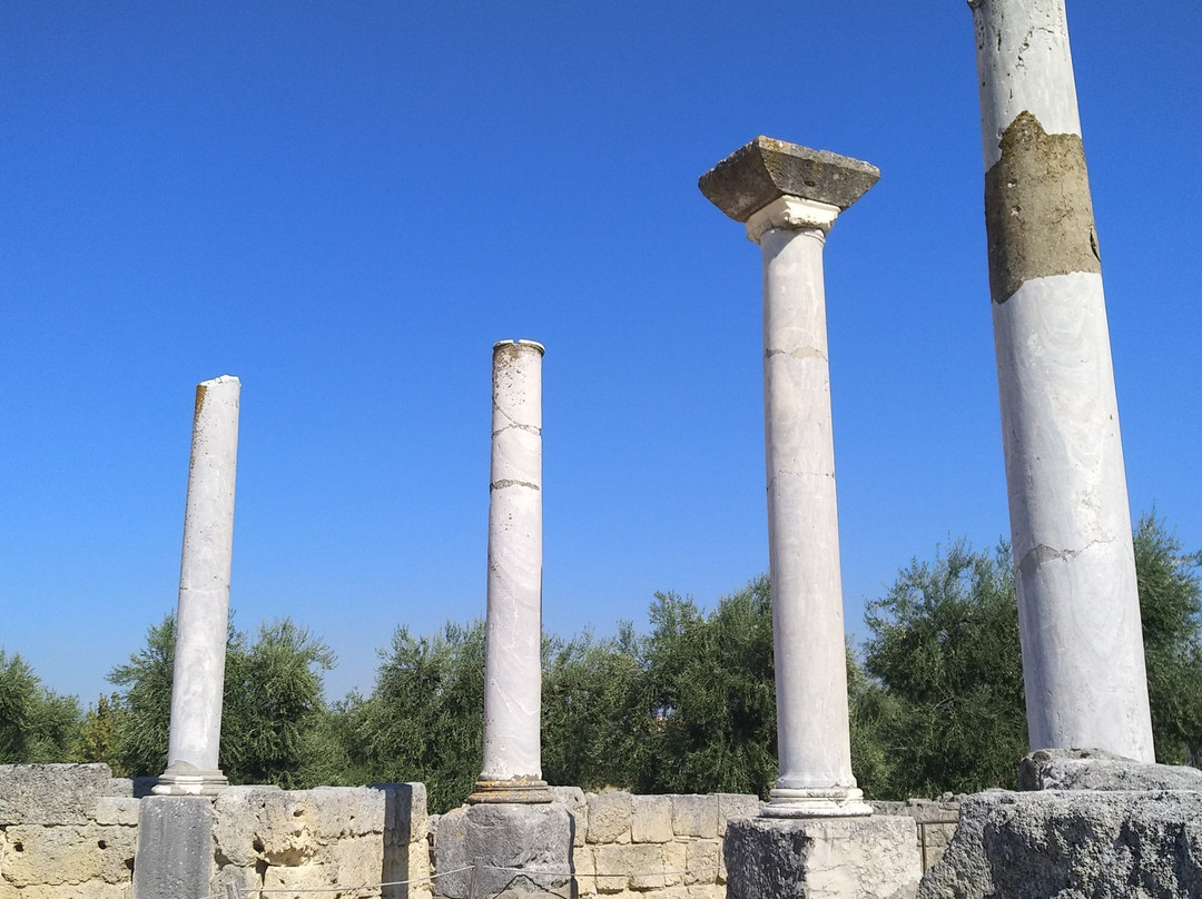 Il Parco Archeologico di San Leucio-Canosa di Puglia必去景点