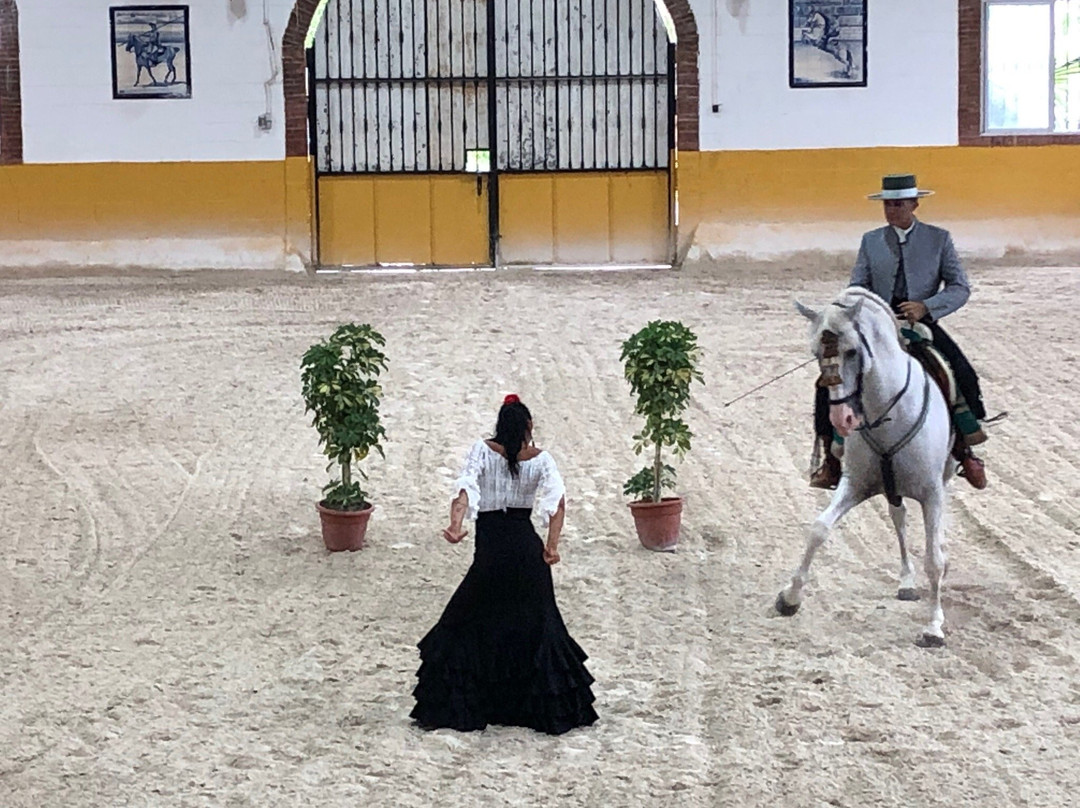 Ritmo a Caballo & Andalusian Night-托雷莫里诺斯必去景点
