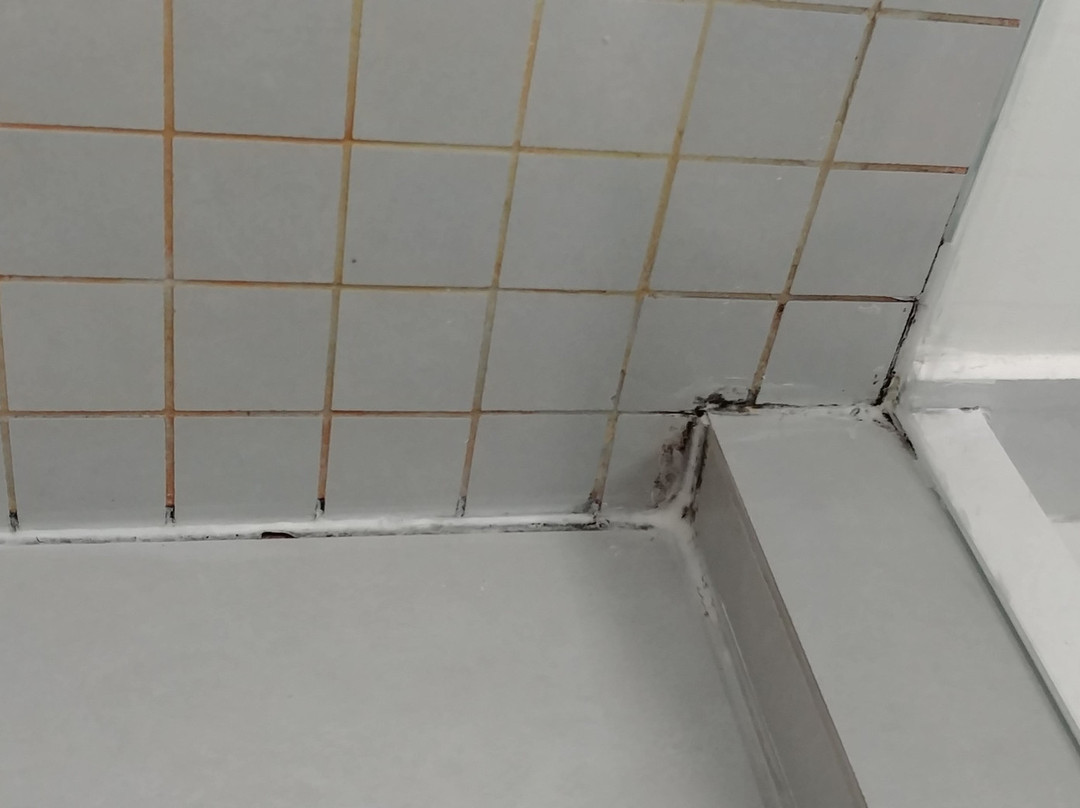 Hotel Princess Frog主图