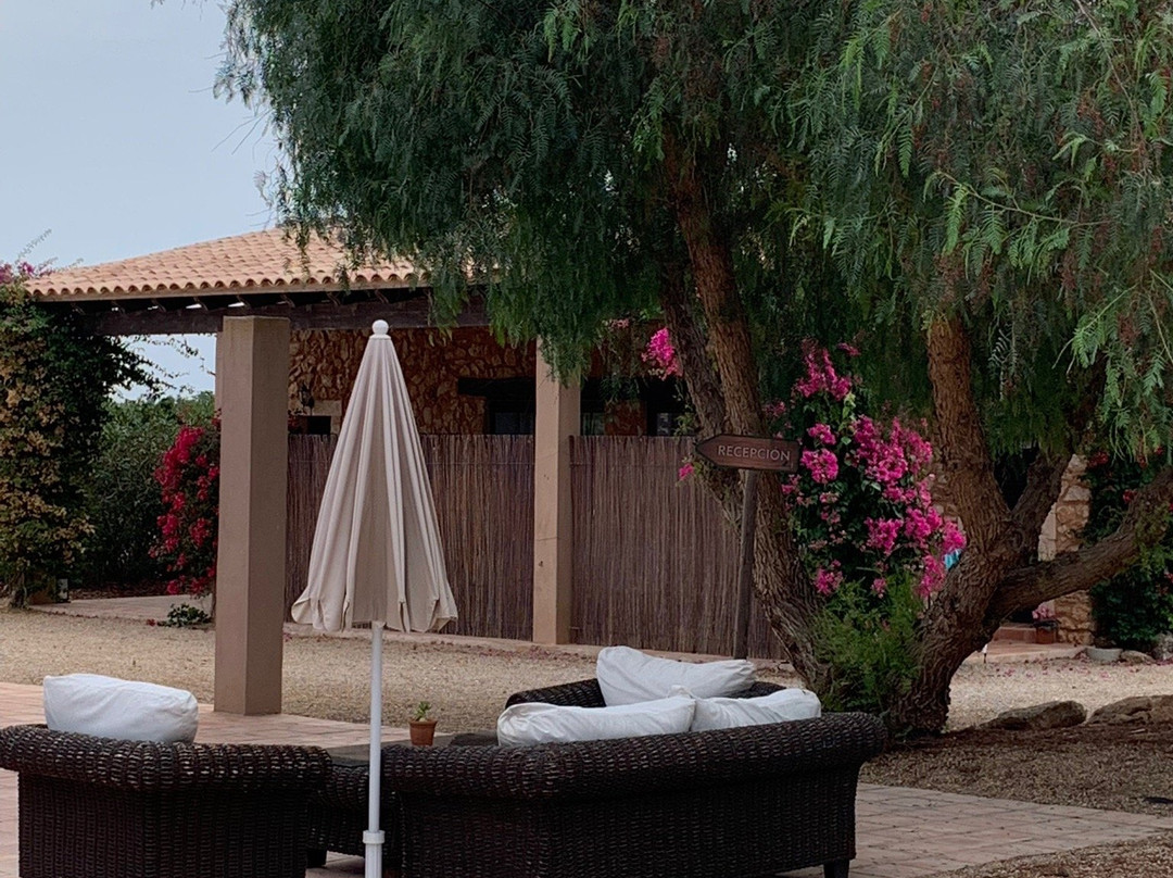 Hotel Es Lloquet - The Secret Place主图