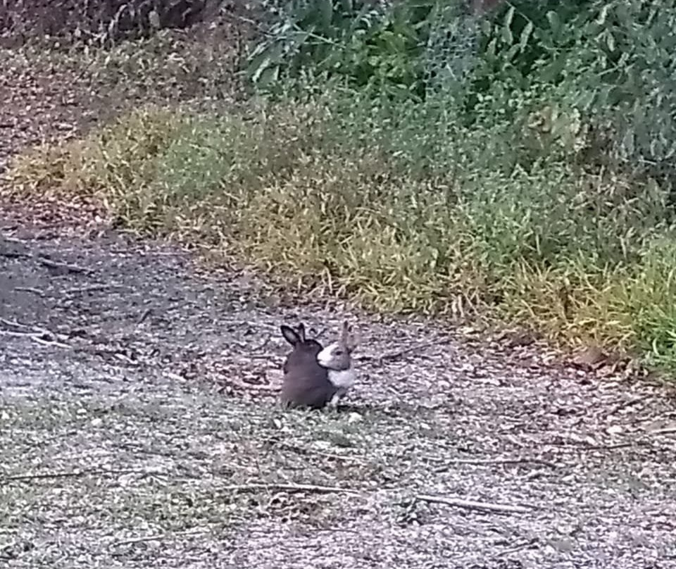 Pousada Ecológica Recanto Das Águas主图