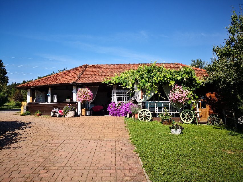 Slavina旅游攻略图片