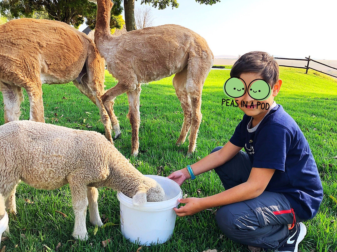 Dusk to Dawn Farm Guesthouse主图