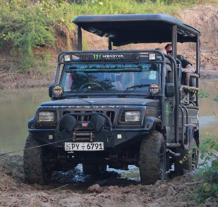 Udawalawe Safari by Leel.-乌达瓦拉瓦必去景点
