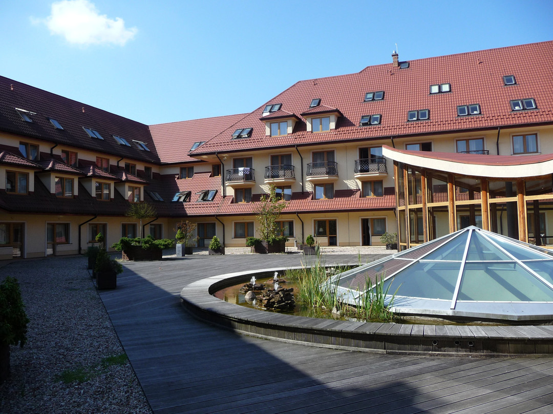 Hotel Ossa Conference & SPA主图