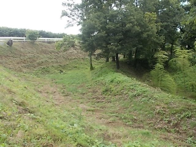 The Site of Oshima Castle (Daijo Park)-松川町必去景点