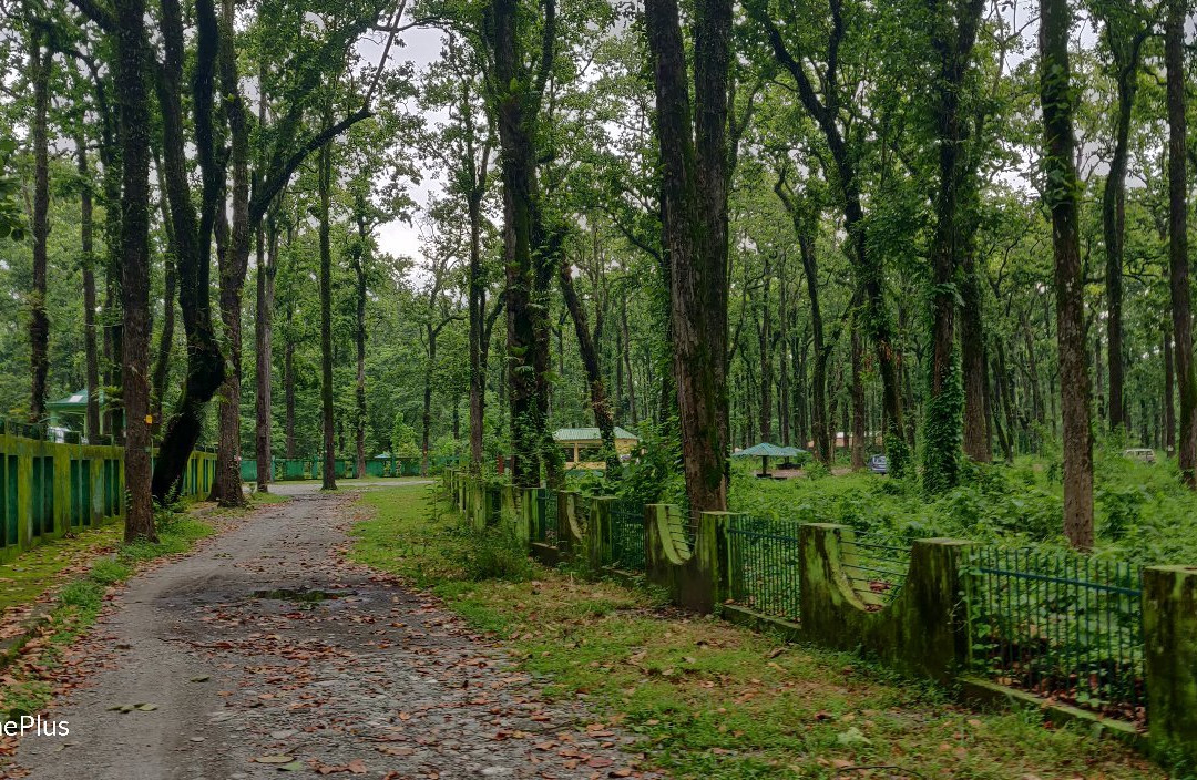 Bengal Safari-西里古里必去景点