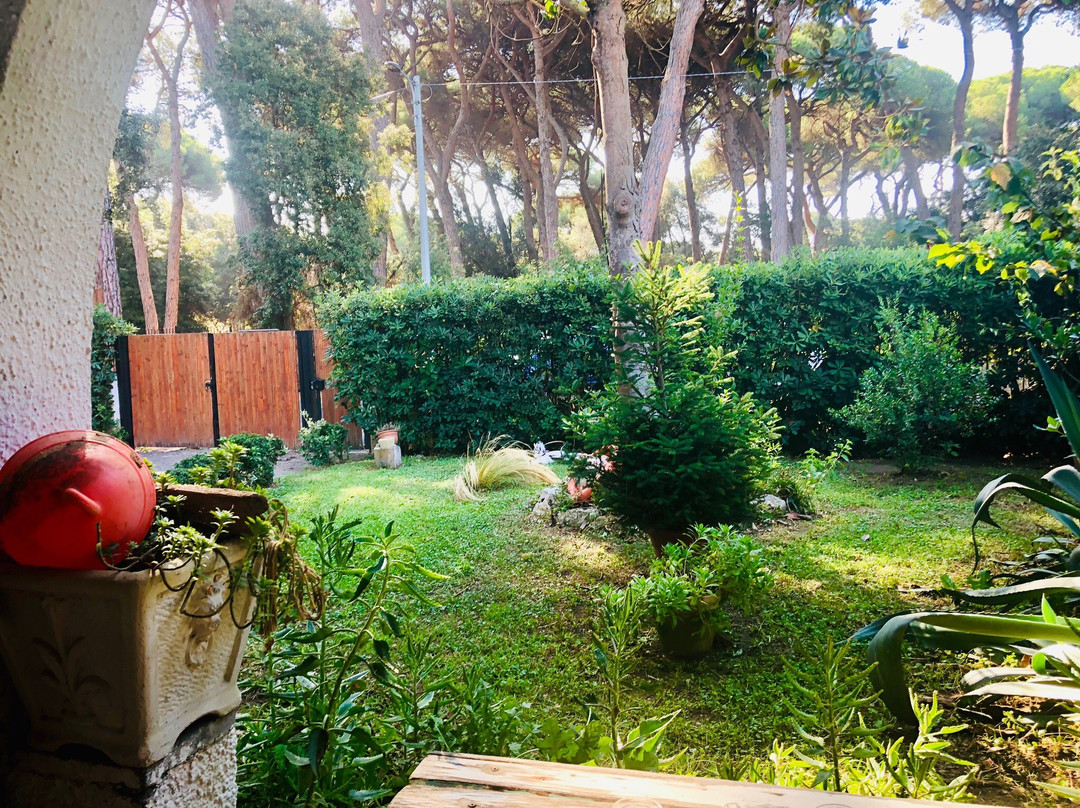La Casa di Nataly主图