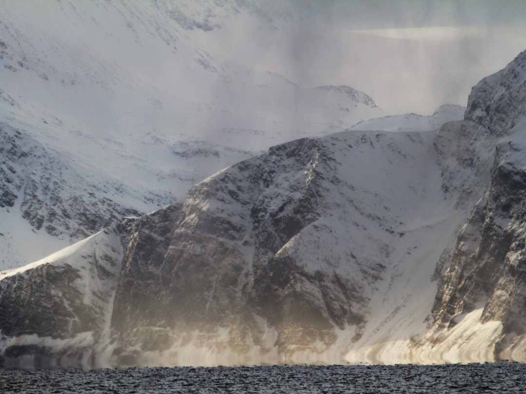 Boreal Yachting Day Trips景点图片