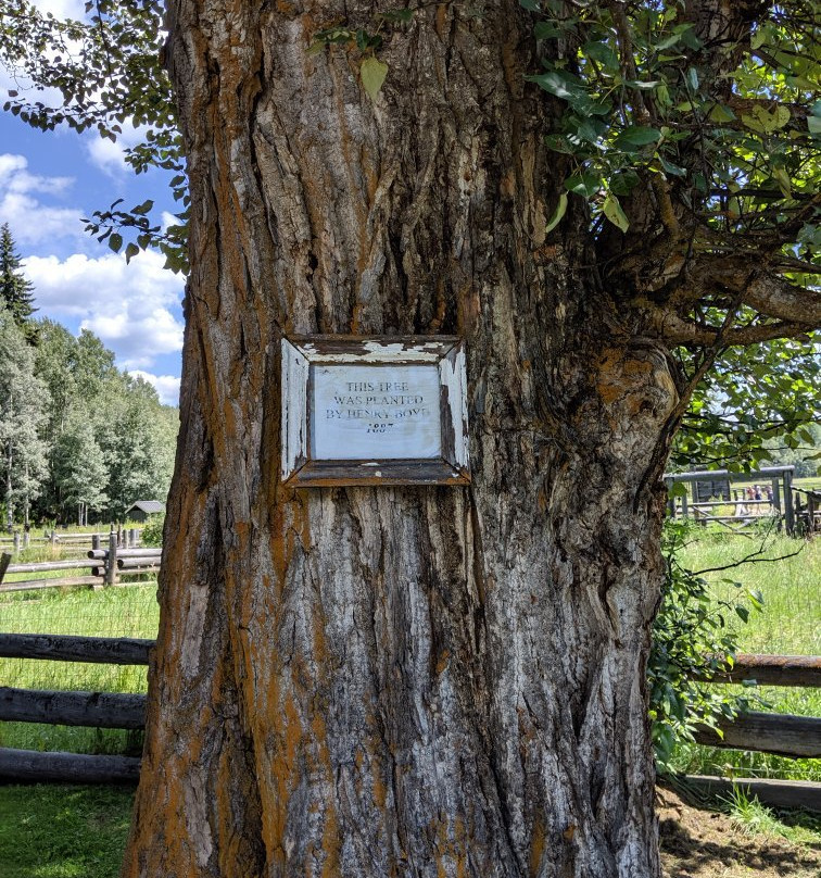 Cottonwood House Historic Site景点图片