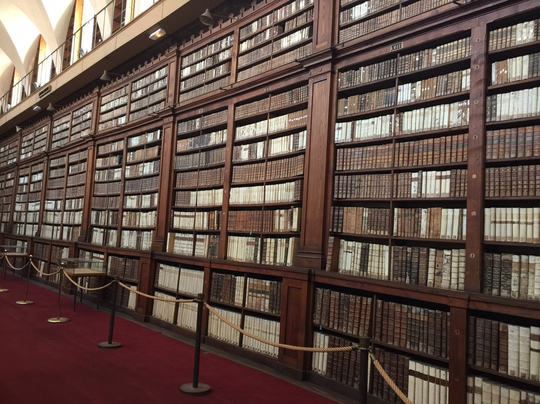 Bibliotheque Municipale Fesch-阿雅克肖必去景点