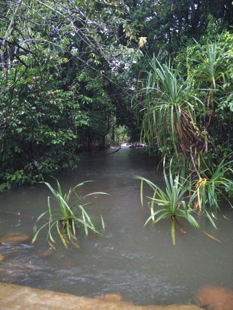 Rotti Kallu Homestay-官方