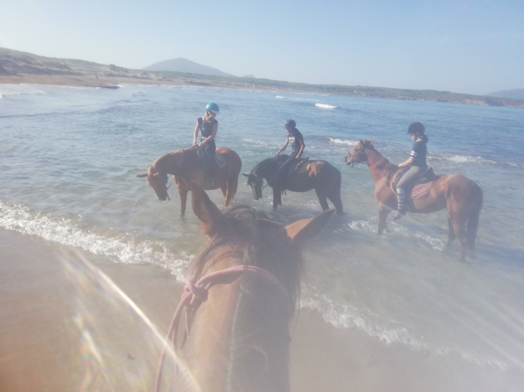 Maneggio Baratz-萨萨里省必去景点