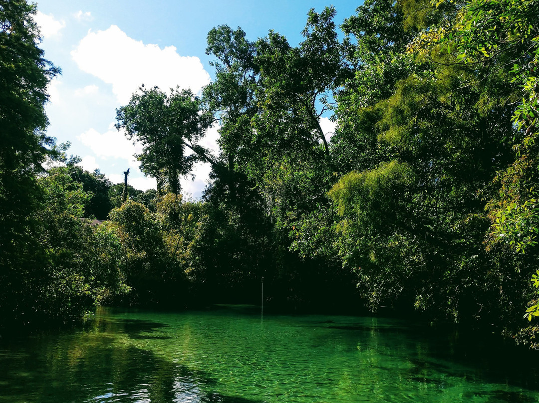 Weeki Wachee Marina-Weeki Wachee必去景点