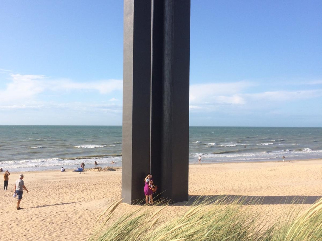 De Panne Beach景点图片