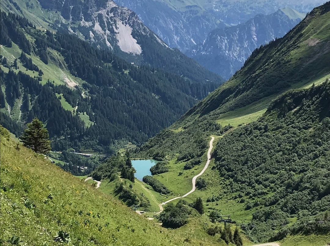 Alpenresort Walsertal主图